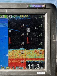 2026年1月31日　魚探映像